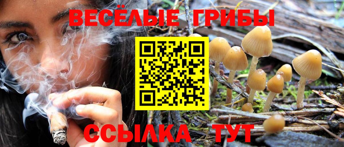 Псилоцибиновые грибы ЛСД Родники