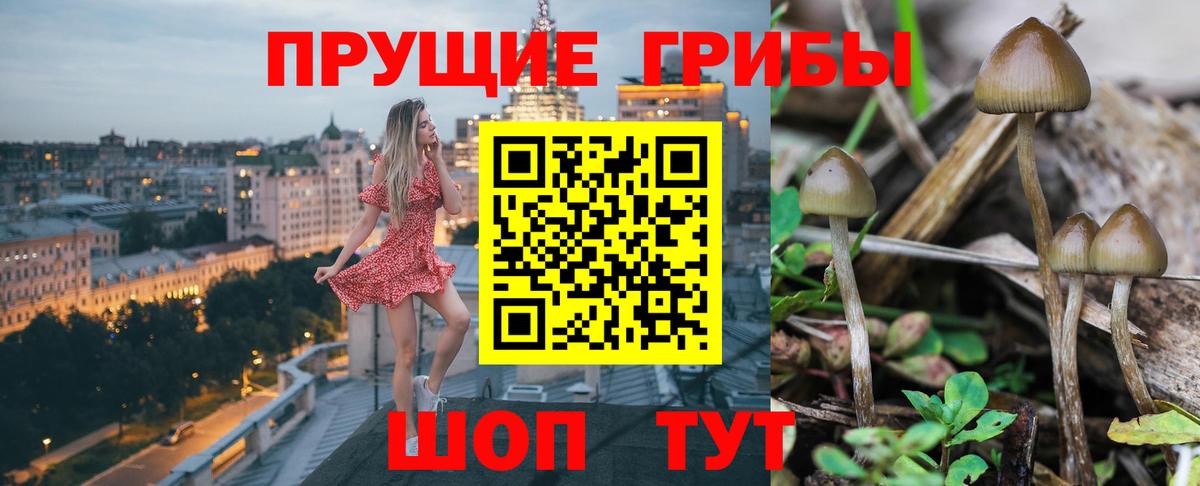 где купить наркоту  Галлюциногенные грибы мухоморы  Вход с VPN  Родники 