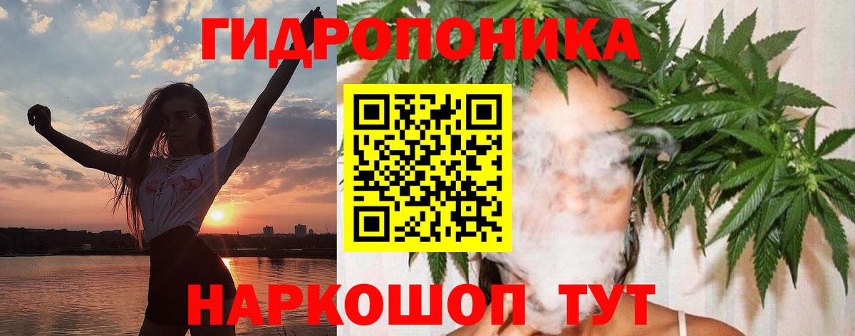 Бошки марихуана VHQ  Конопля план  МАРИХУАНА сатива  Родники  Вход с VPN 